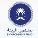 Read more about the article وظائف المحاسبة في صندوق البيئة بالرياض 2025 – فرص إدارية ومالية مميزة